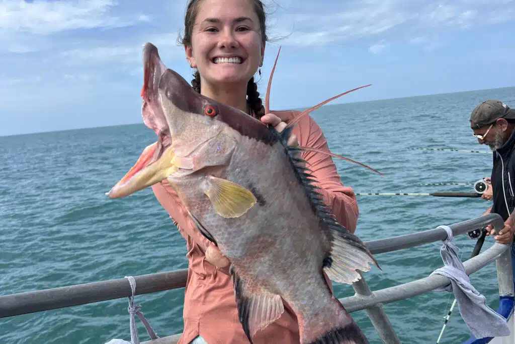 NEARSHORE-hogfish (1)
