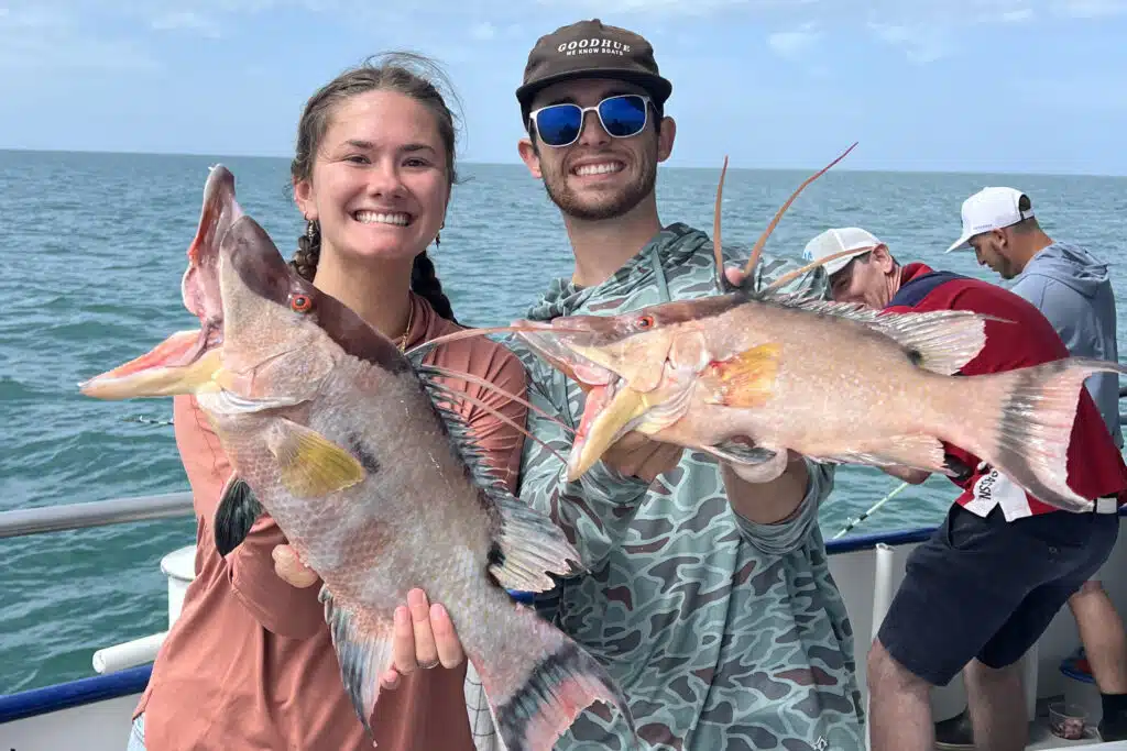 NEARSHORE-hogfish
