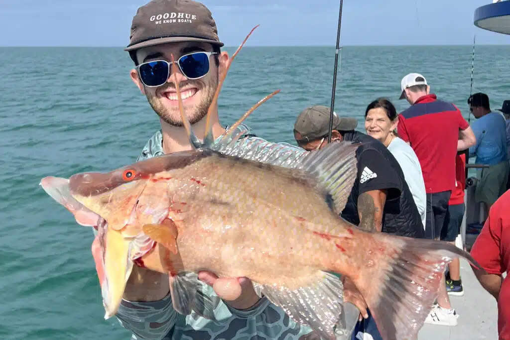 NEARSHORE-hogfish (3)