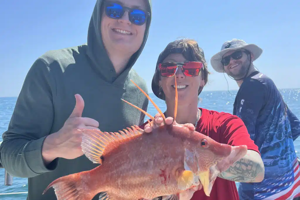 NEARSHORE-hogfish (4)