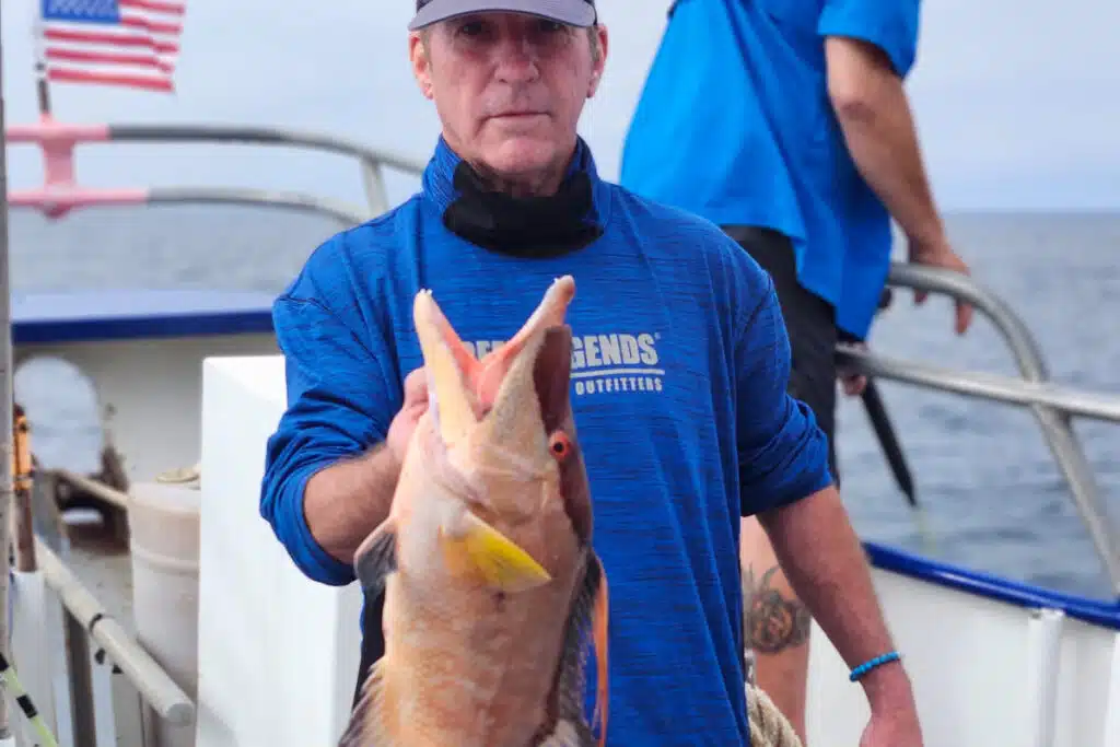 NEARSHORE-hogfish (6)