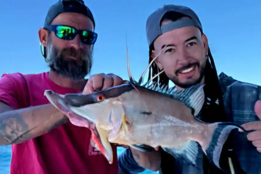 NEARSHORE-hogfish-best