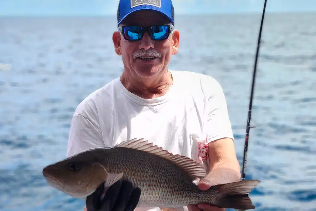 NEARSHORE-mangrove (1)