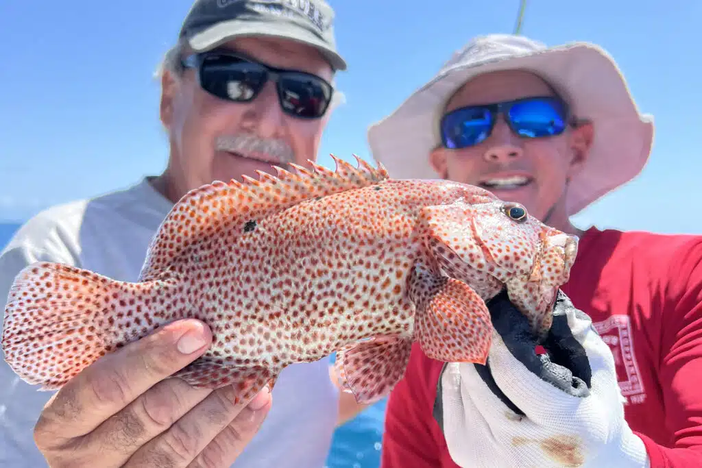 NEARSHORE-strawberry-grouper