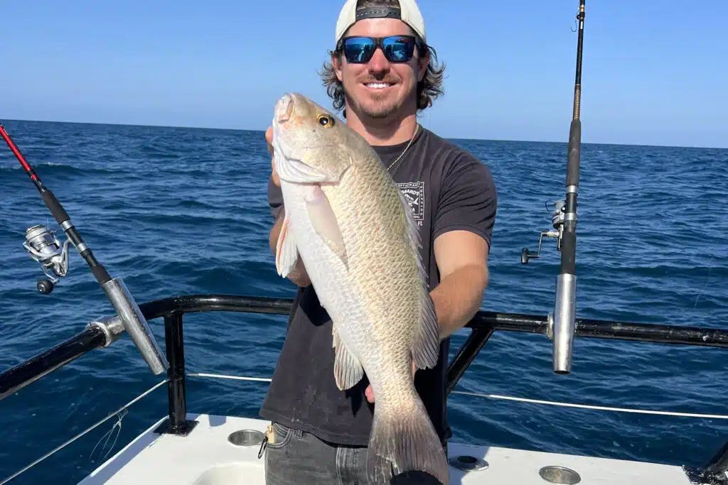 OFFSHORE-big-mangrove