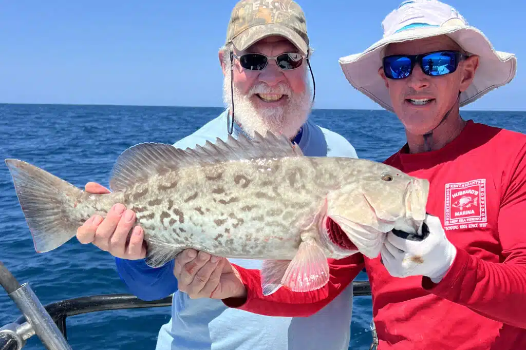 OFFSHORE-gaggrouper (1)