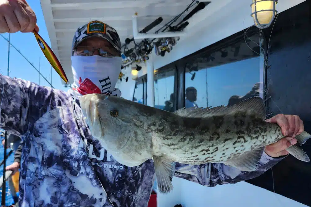 OFFSHORE-gaggrouper (2)