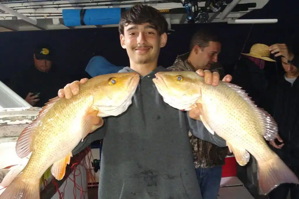 OFFSHORE-mangrove (2)