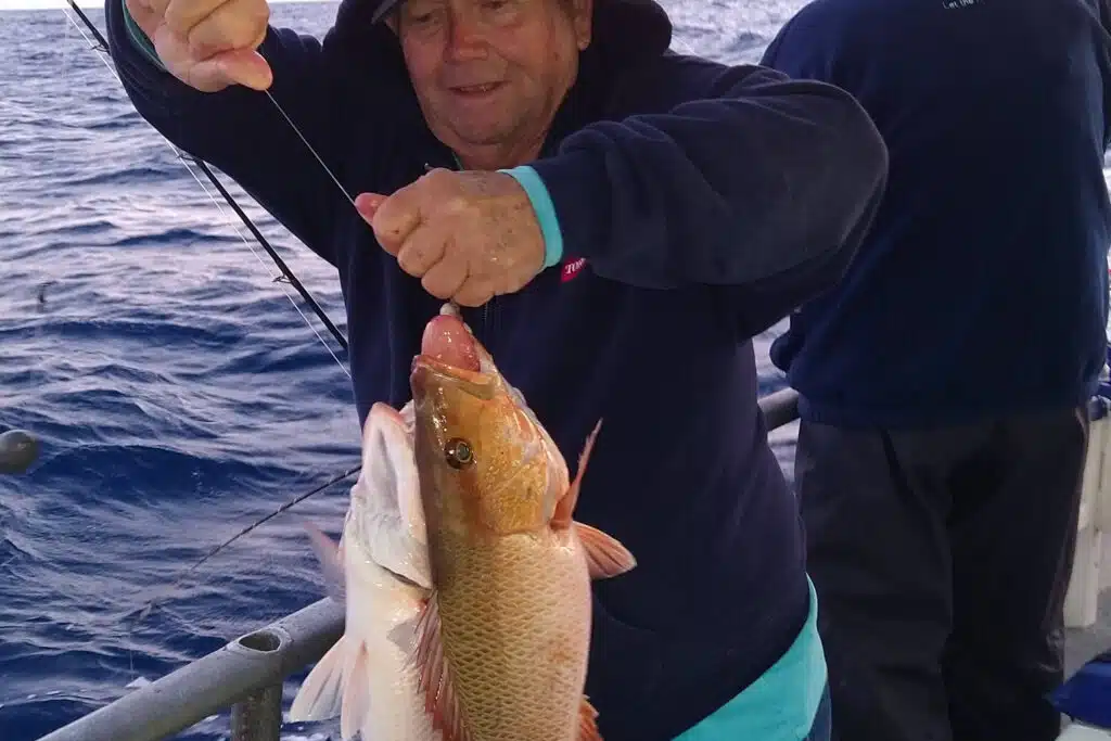 OFFSHORE-mangrove (4)