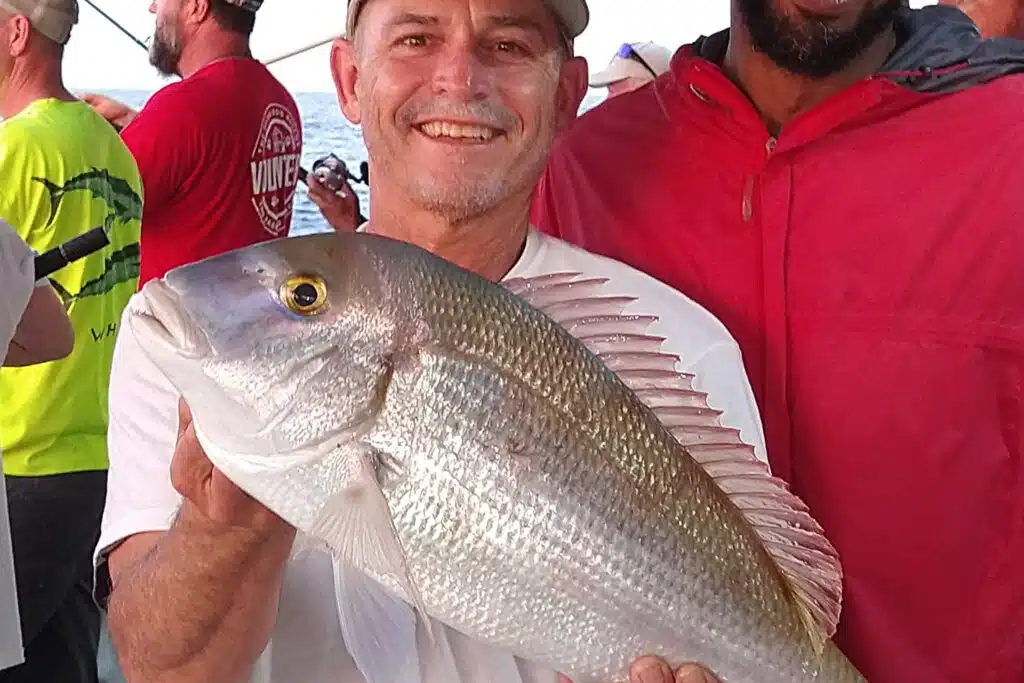 OFFSHORE - pink porgy