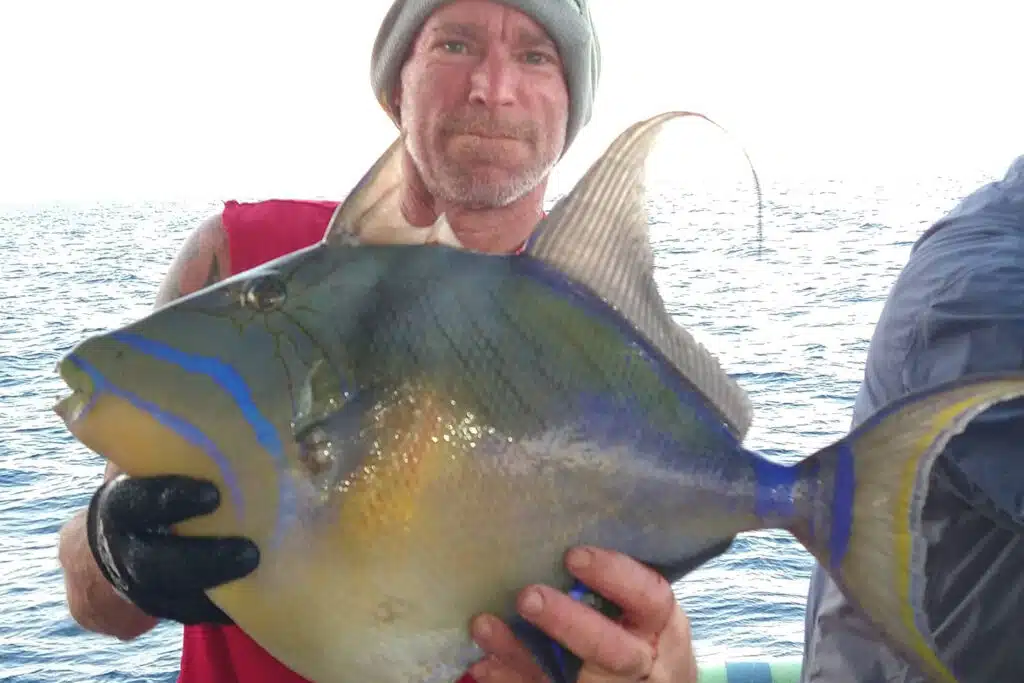 OFFSHORE - queen trigger