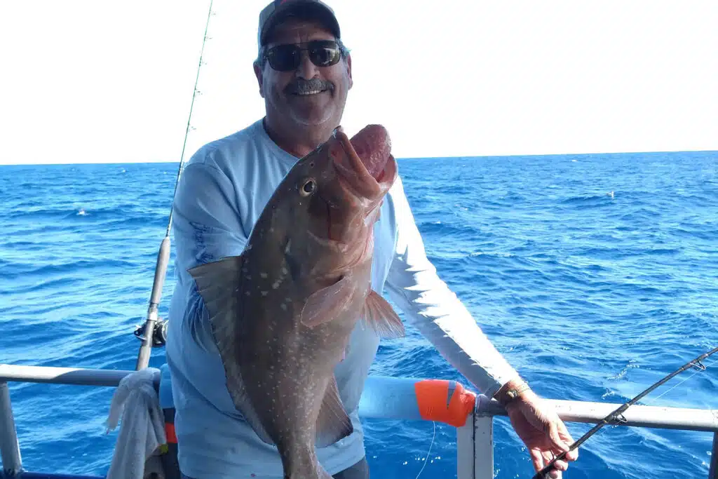 OFFSHORE - red grouper 2