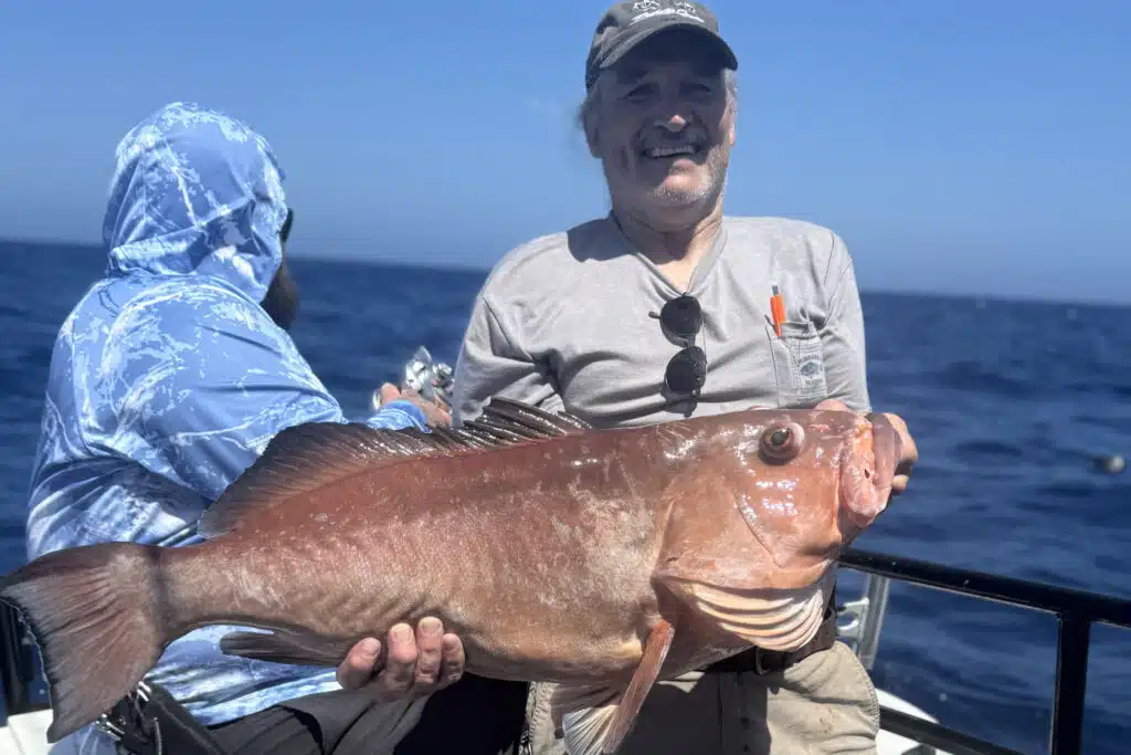 OFFSHORE-redgrouper (3)