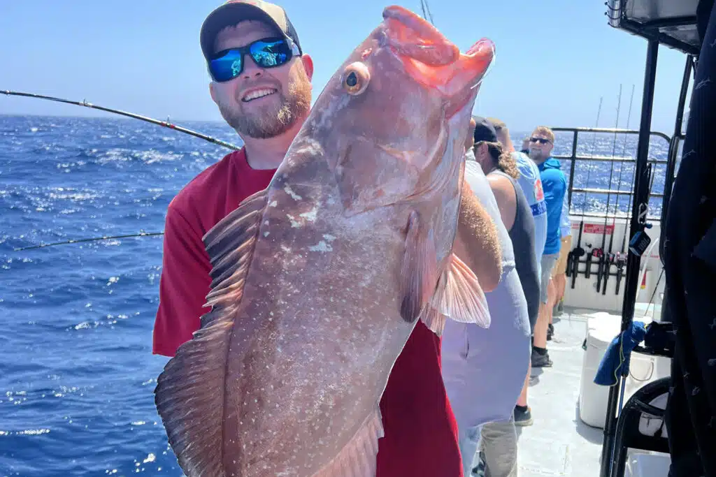 OFFSHORE-redgrouper (4)