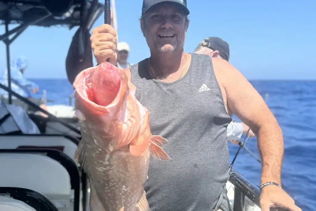 OFFSHORE-redgrouper (5)