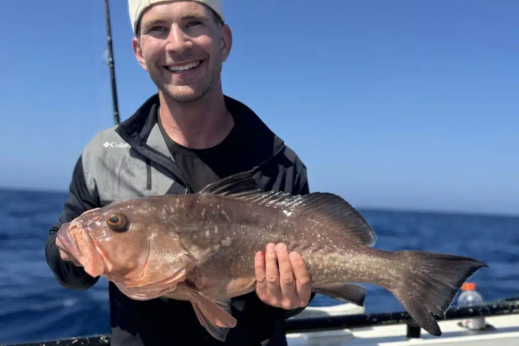 OFFSHORE-redgrouper (6)