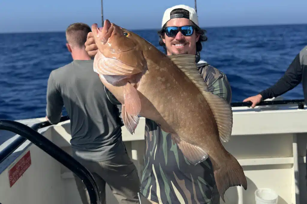 OFFSHORE-redgrouper (7)