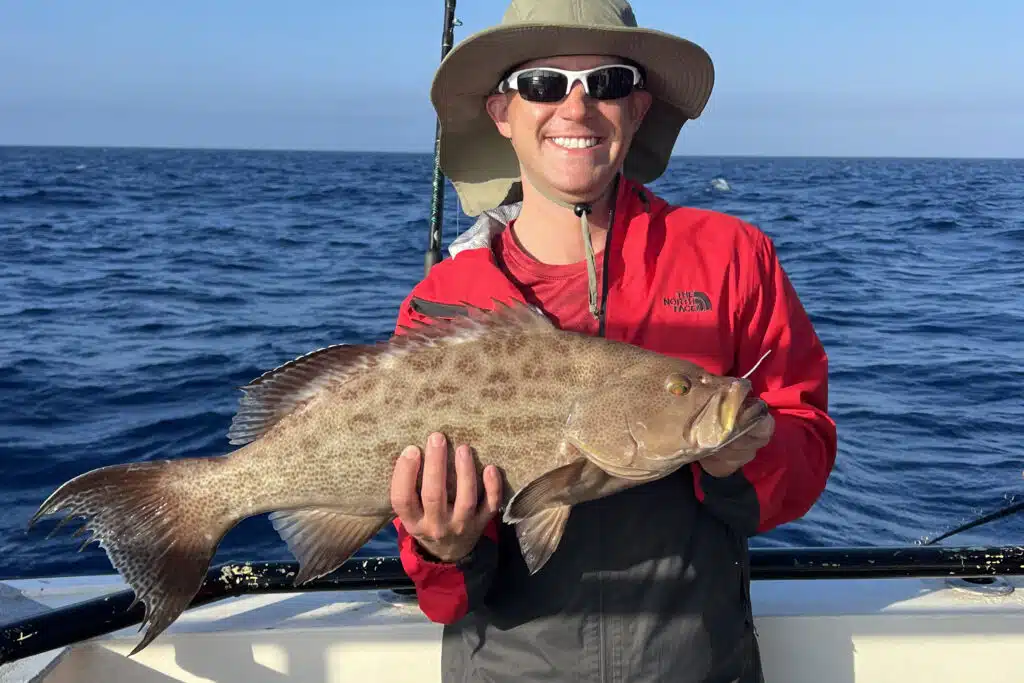 OFFSHORE- scamp grouper