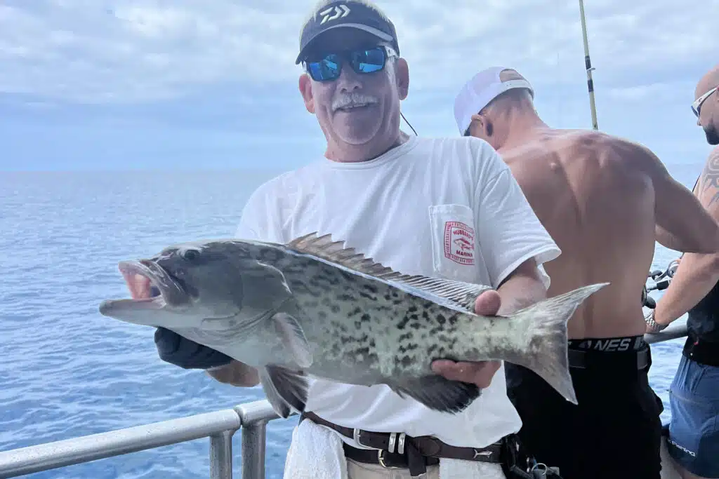 Crew member Butch holding a nice gag grouper onboard Hubbard's Marina 10hr nearshore fishing trip
