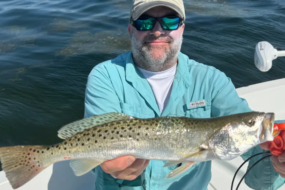 INSHORE-trout3