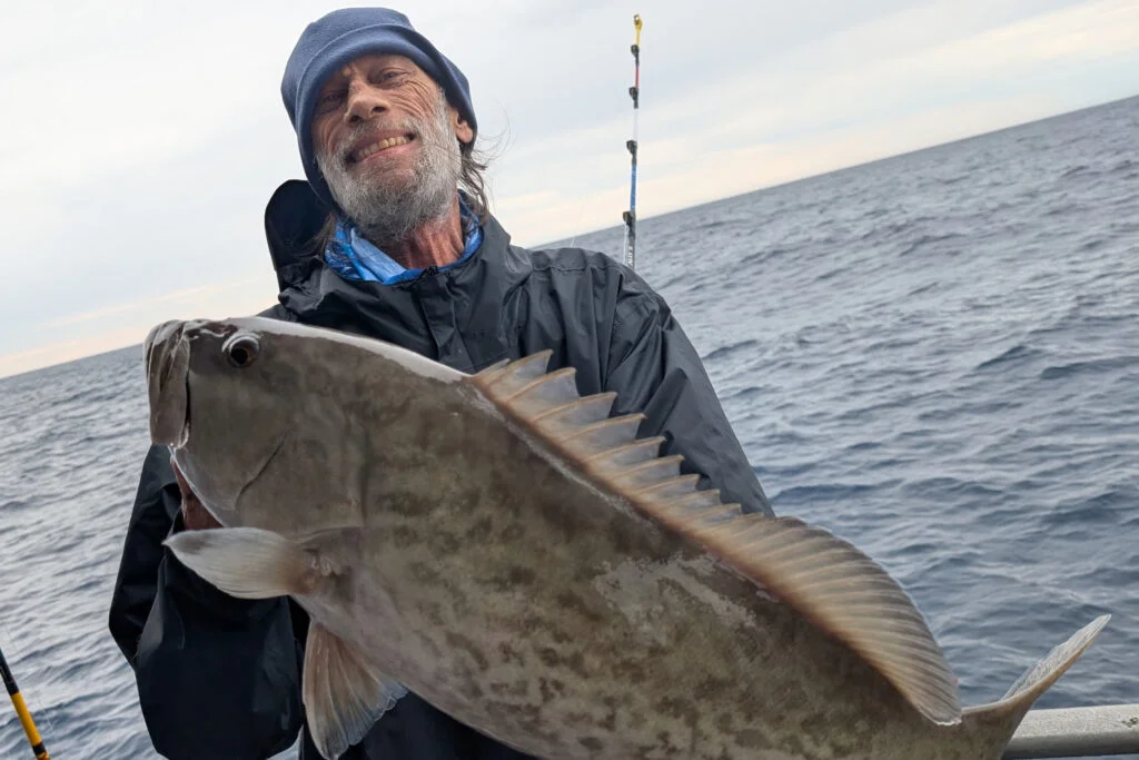 OFFSHORE-gaggrouper