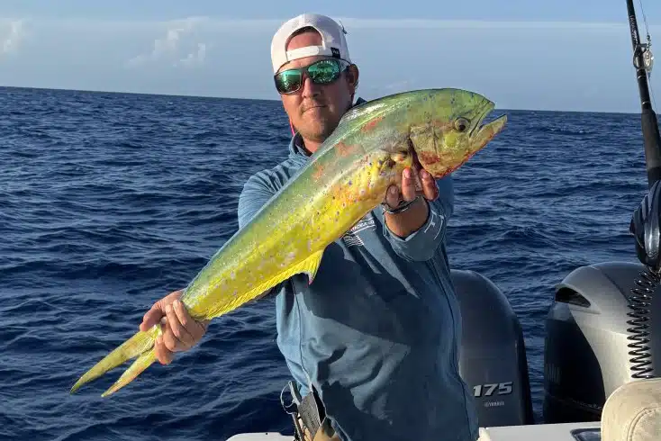 OFFSHORE-mahi