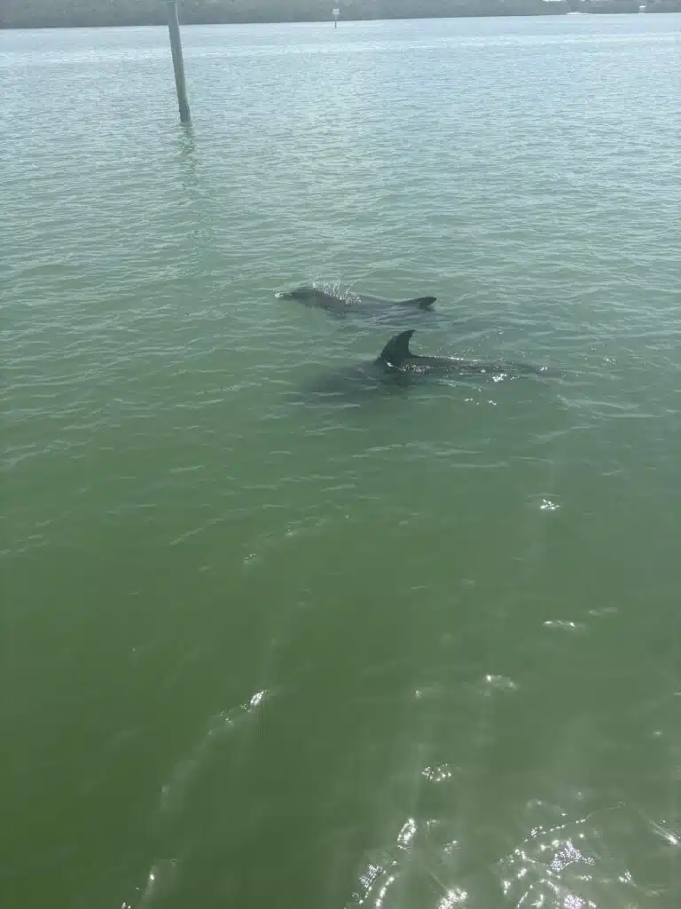 Photo May 06 2025, 11 52 11