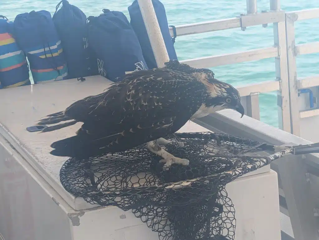 Photo May 08 2025, 07 46 38 (6)