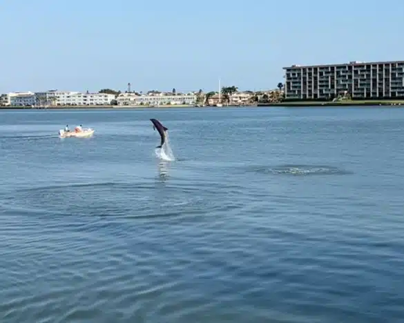 Photo May 08 2025, 21 57 42 (1)