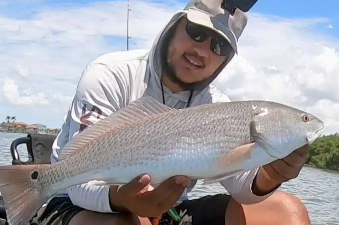 INSHORE-redfish (1)