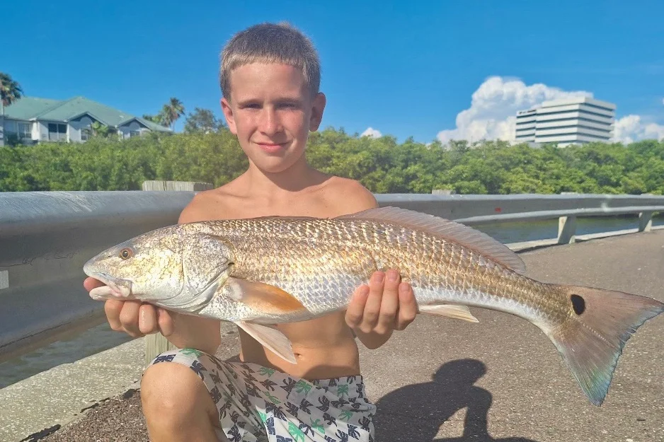 INSHORE-redfish (1)