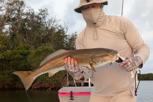 INSHORE-redfish