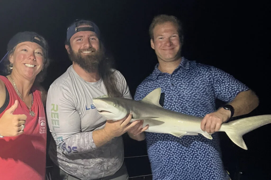 INSHORE-shark