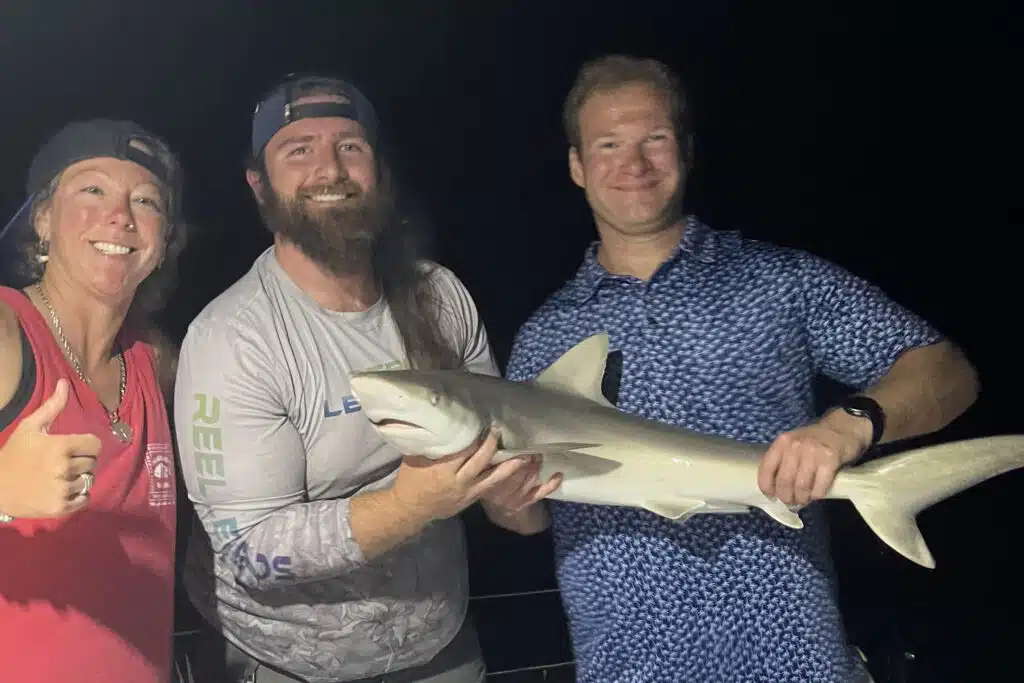 INSHORE-shark
