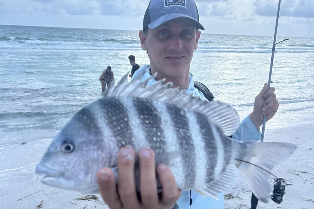 INSHORE-sheepshead