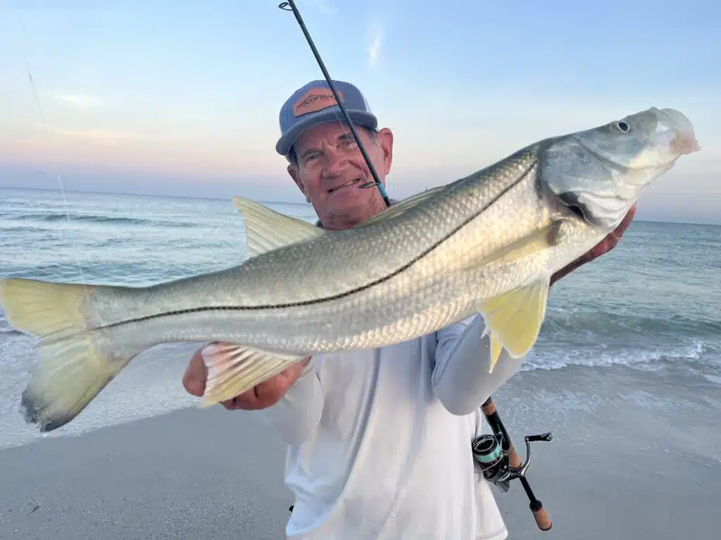 INSHORE - snook 1
