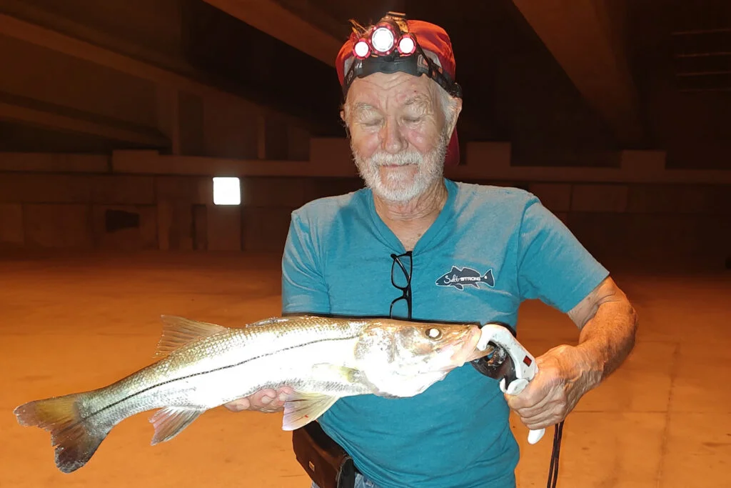 INSHORE-snook (10)