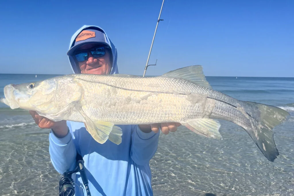 INSHORE-snook (11)