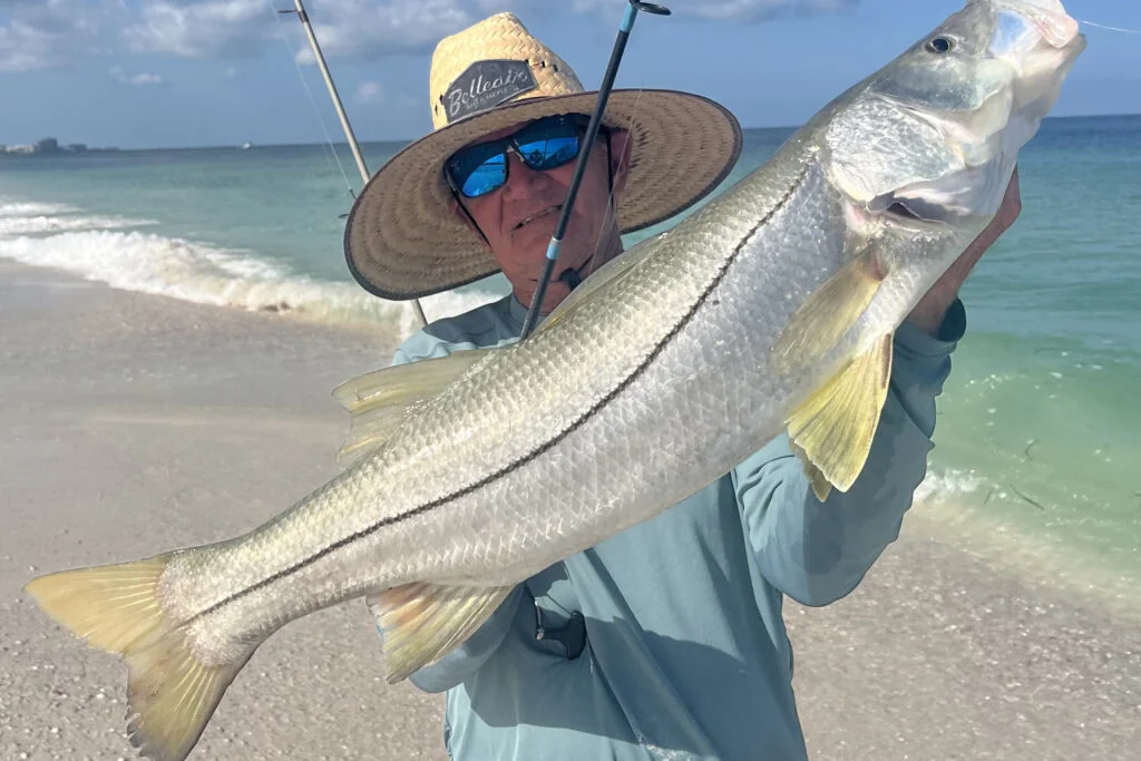 INSHORE-snook (5)