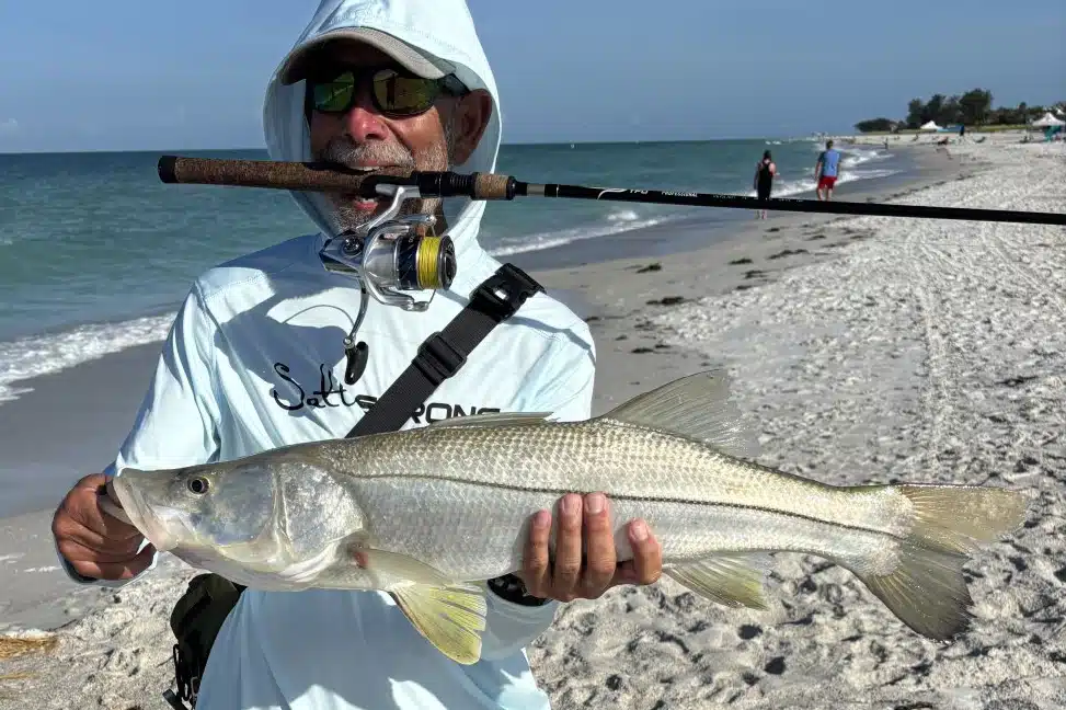 INSHORE-snook3