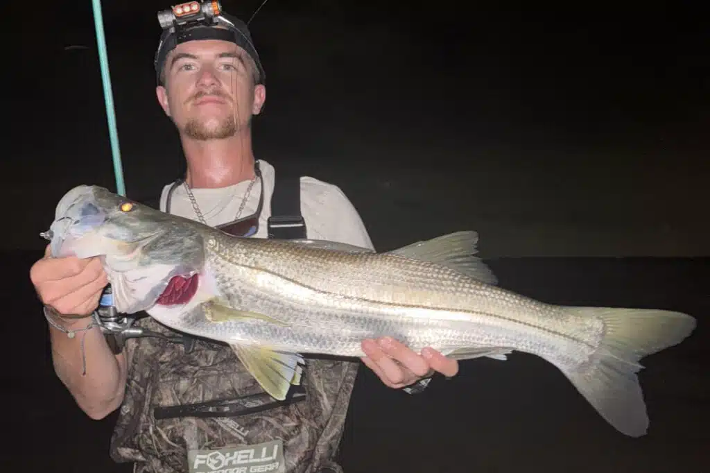 INSHORE-snook3