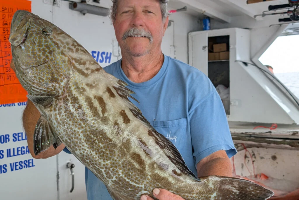 OFFSHORE- black grouper