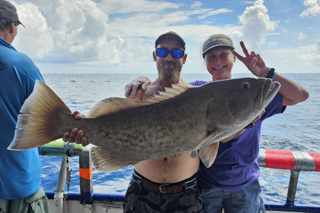 OFFSHORE - gag grouper