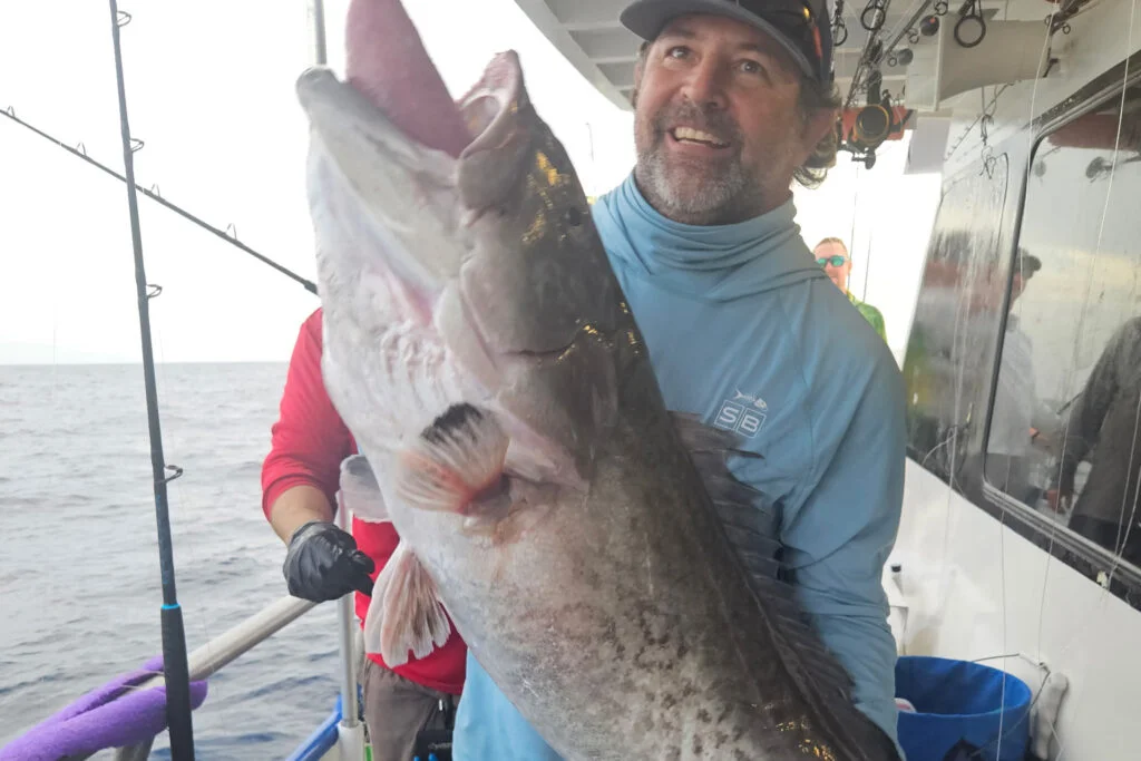 OFFSHORE-gaggrouper