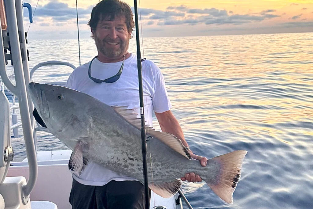 OFFSHORE-gaggrouper