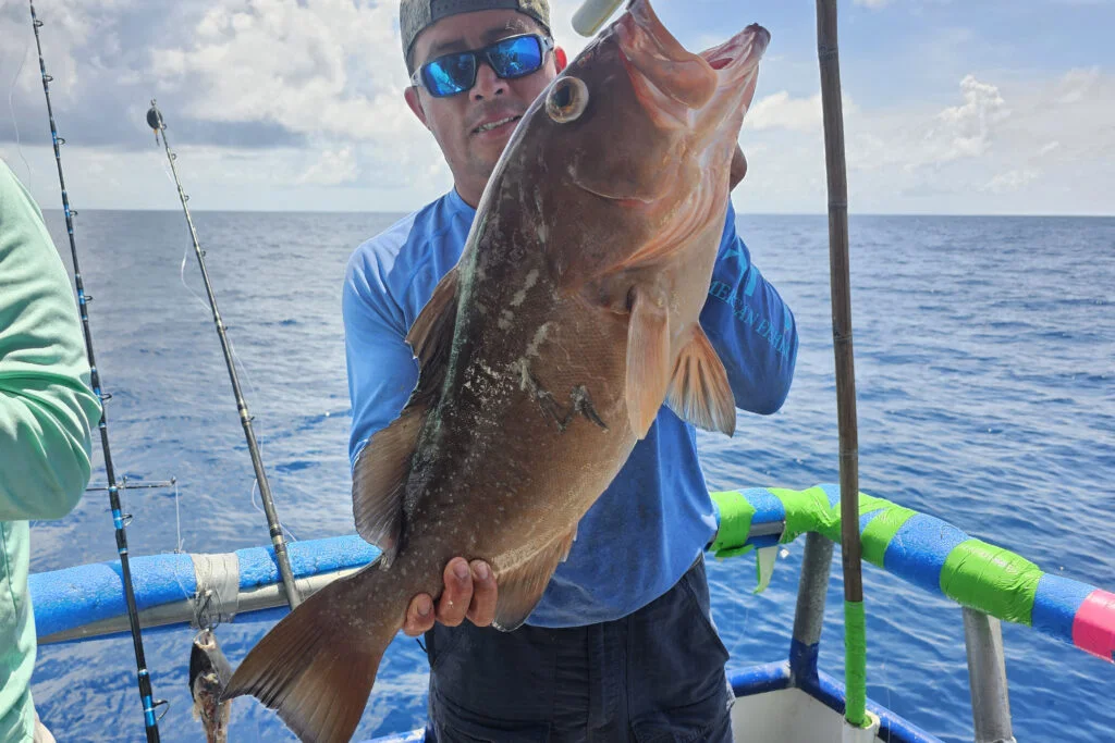 OFFSHORE - red grouper