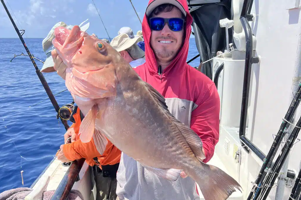 OFFSHORE - red grouper 4