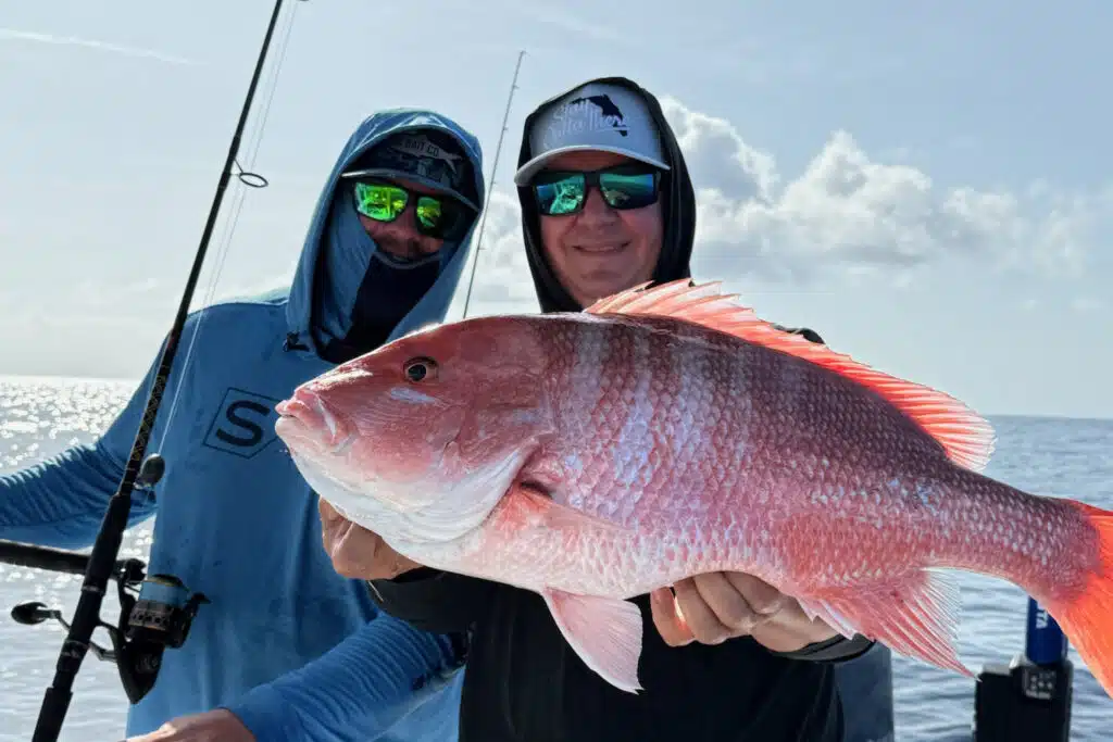 OFFSHORE - red snapper 1