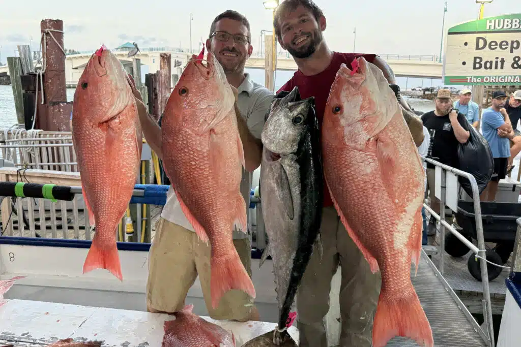 OFFSHORE - red snapper