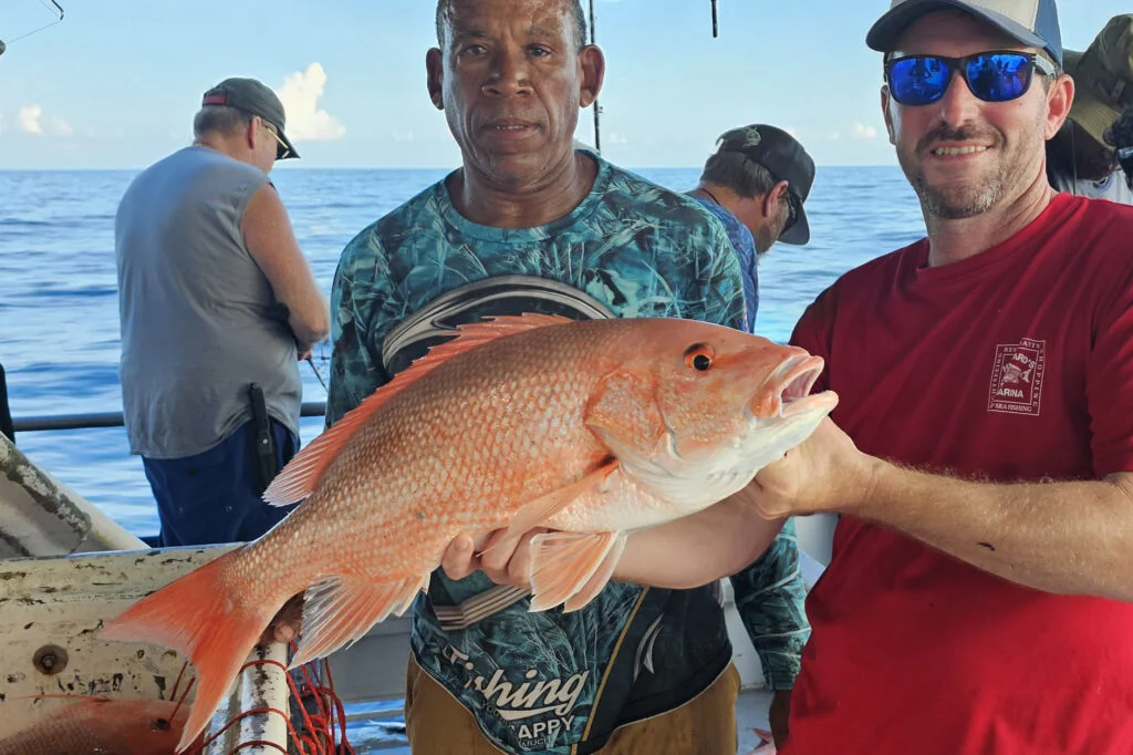 OFFSHORE - red snapper 11